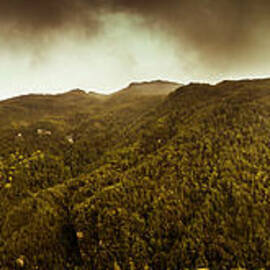 Mountain of trees by Jorgo Photography