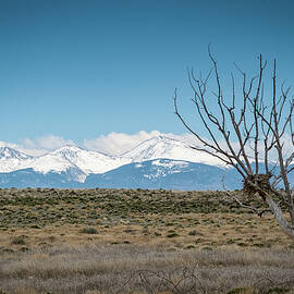Mountain Views by Mary Lee Dereske