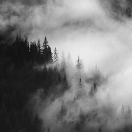 Mountain Whispers by Michael Dawson