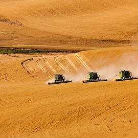 Moving Forward by Mary Jo Allen