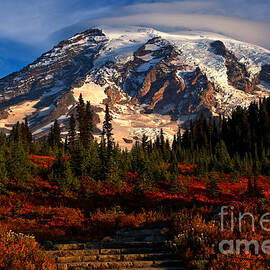 Mt. Rainier Paradise Morning by Adam Jewell