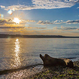 Mukilteo Beach by Ed Clark