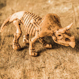 Museum of plastic extinctions by Jorgo Photography