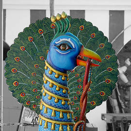 Mylapore Peacock by Richard Reeve