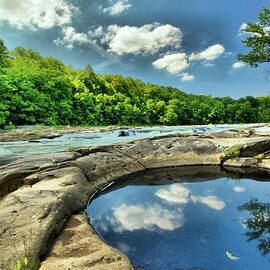 Natural Swimming Pool by Adam Jewell