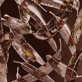 Nature in design by Jorgo Photography