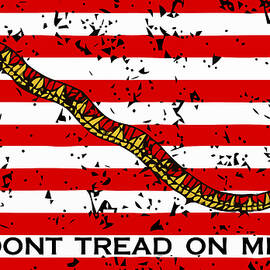 Navy Jack Flag - Don't Tread On Me by War Is Hell Store