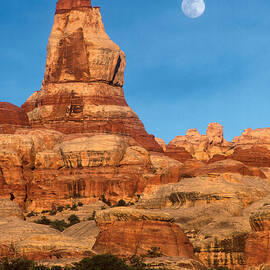 Needles Moonrise at Sunset by Dan Norris