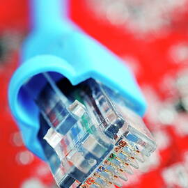 Network Connection Plug by Sami Sarkis Photography