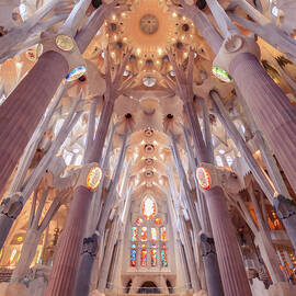 Not In A Hurry by Slow Fuse Photography