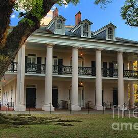 Oak Alley Mansion by Adam Jewell