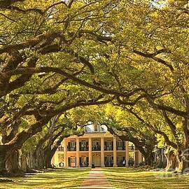 Oak Alley Plantation House by Adam Jewell