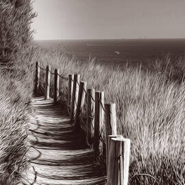 Ocean Trails  Palos Verdes California by Joe Schofield