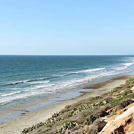 Ocean View by Alison Frank