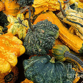 Odd Gourds One by Olivier Le Queinec