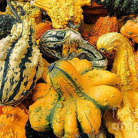 Odd Gourds Two by Olivier Le Queinec