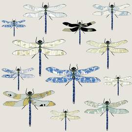 Odonata by Sarah Hough