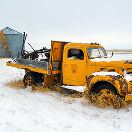 Old Yellow by Todd Klassy