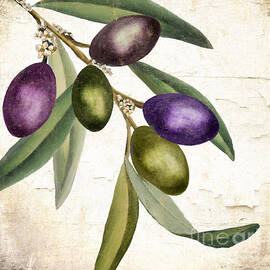 Olive Branch III by Mindy Sommers