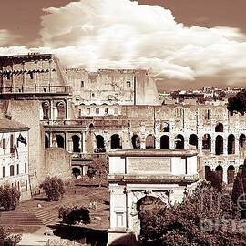 Colosseum from Roman Forums  by Stefano Senise