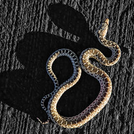 On the move by Kelley King