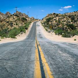 On the Road Again by Alison Frank