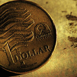 One australian dollar coin by Sami Sarkis Photography