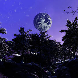 One Night among the Stars by AM FineArtPrints