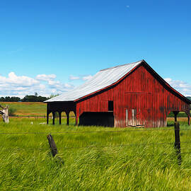 Only A Dream by Joe Schofield