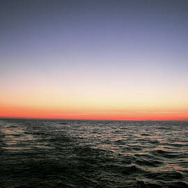 Orange and Black by David Shuler