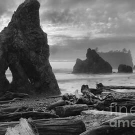 Orange Skies Over Ruby Beach Black And White by Adam Jewell