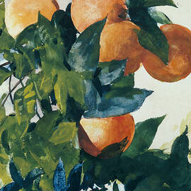 Oranges on a Branch by Winslow Homer