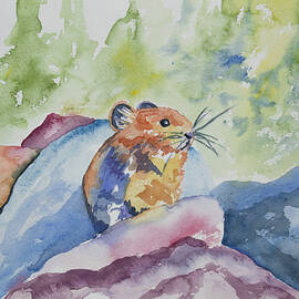 Original Watercolor - Pika on the Rocks by Cascade Colors