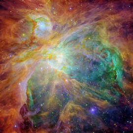 Orion Nebula by Mark Kiver