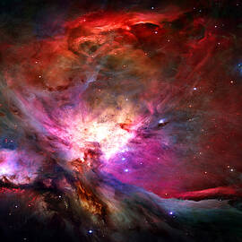 Orion Nebula by Michael Tompsett
