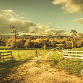 Outback country paddock by Jorgo Photography