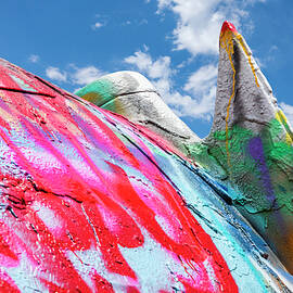 Painted Tailfin by Kelley King