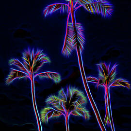 Palm Tree Graphic by Kelley King