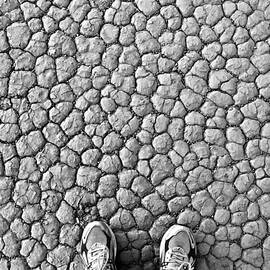 Parched . The New California by Joe Schofield