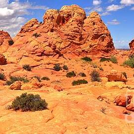 Pastel Petrified Sand Dunes by Adam Jewell