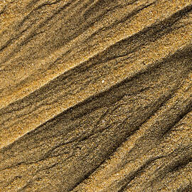 Paterns in the sand by David Shuler