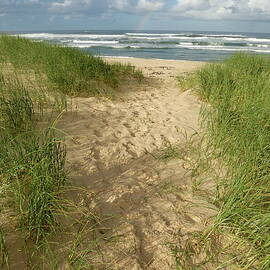 Path on beach leading to Ocean by Sami Sarkis Photography