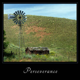 Perserverance 2 by Mary Jo Allen