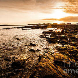 Petal point ocean sunrise by Jorgo Photography