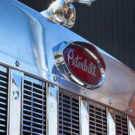 PETERBILT ANGRY DUCK by Theresa Tahara