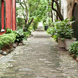 Philadelphia Alley Charleston Pathway by Dustin K Ryan