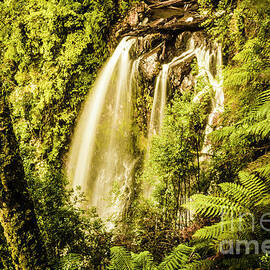 Philosopher Falls, Western Tasmania by Jorgo Photography