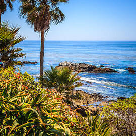 Picture of Laguna Beach California by Paul Velgos