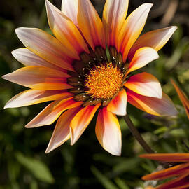 Picture Perfect by Kelley King