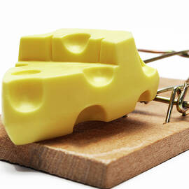 Piece of cheese in mouse trap by Sami Sarkis Photography